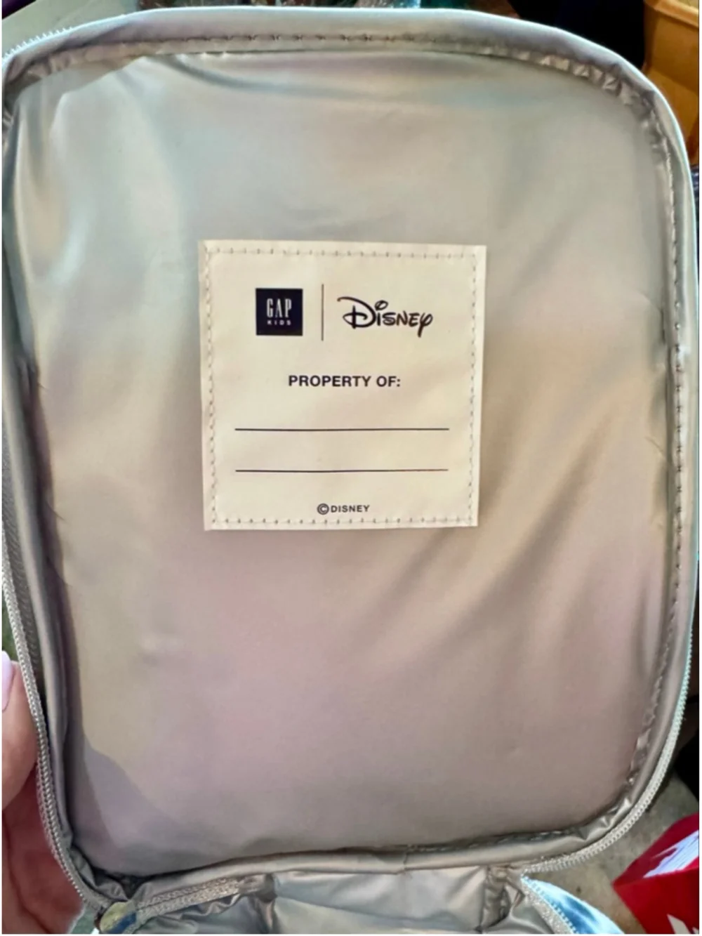 The GAP Kids Disney Princess insulated Lunch box/cooler with handle & strap